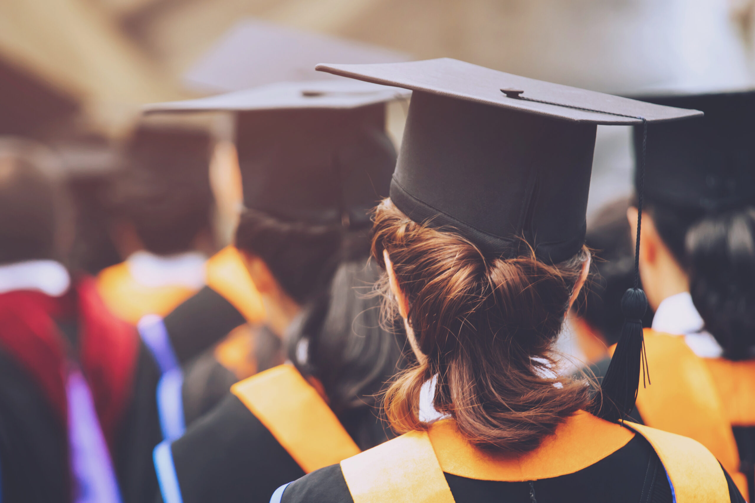 new graduates